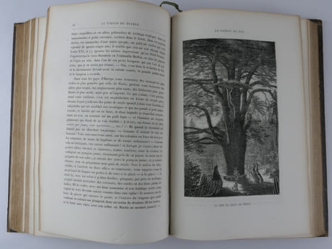 Le diable à Paris. Paris et les parisiens. A la plume et au crayon par Gavarni, Grandville.  Volume 1 comprenant la Première et Deuxième partie, ...