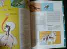 Le son.. Martin L. Keen. Illustrations de J. Zaffo.