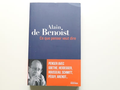 Ce que penser veut dire. Penser avec Goethe, Heidegger, Rousseau, Schmitt, Péguy, Arendt...