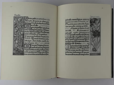Le Livre d'Heures d'Anne de Bretagne. Manuscrit Latin n°9474 de la Bibliothèque Nationale.. Jehan Bourdichon. Jehan Poyet.