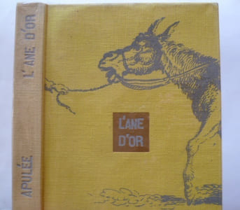 L'âne d'or ou la métamorphose. Et quelques mouvements dessinés sans ordre ni suite au hasard des images et des mots.