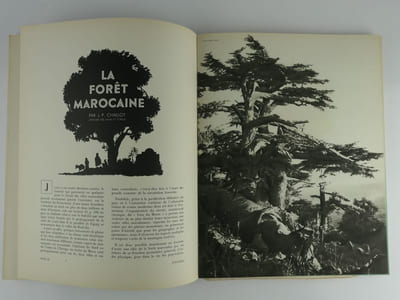 Synthèse Revue mensuelle réservée au corps médical. Quatrième année numéro 5, mai 1936. Contient : L'enseignement médical à Alger et l'évolution de l' Afrique du Nord, par E. Leblanc. L'Algérie, observatoire chirurgical, par H. Costantini.