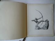 Antoine Bourdelle. Catalogue d'exposition Galerie René Drouin vendredi 6 février 1942 par Antoine Bourdelle. Texte de Maurice Denis - Image 2