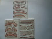 Entre Lèvres par Bertrand BADIOU. Illustrations de Stanislas LELIO (1927) - Image 2