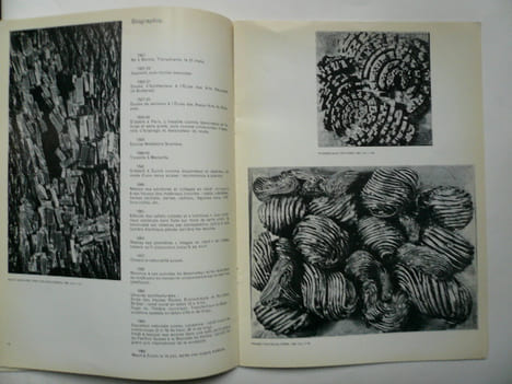 Zoltan KEMENY Musée National d'Art Moderne. oct-déc. 1966. Zoltan KEMENY - Bernard Dorival