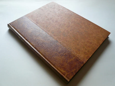 Ceux de l'Alpe. Types et coutumes. Dessins originaux de Th.-J. Delaye.. Antoine Chollier