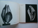 Froso Eftimiadi  : Sculpture 1955-1960 . Froso Eftimiadi . Préface de Aristomenis Provelenghios.