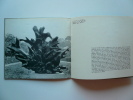 STAHLY. Galerie Jeanne Bucher mai/juin 1961. STAHLY. Préface de Carola Giedion-Welcker