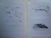 Amaral. Galerie Albert Loeb.  2 catalogues d'exposition. 26 avril au 19 mai 1973. Joint le carton d'invitation avec son illustration découpée. 19 nov. 14 déc. 1974 par AMARAL. Texte de José Pierre. Maquette de François Di Dio.  - Image 2