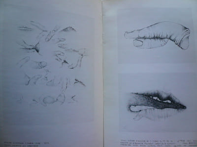 Amaral. Galerie Albert Loeb. 2 catalogues d'exposition. 26 avril au 19 mai 1973. Joint le carton d'invitation avec son illustration découpée. 19 nov. 14 déc. 1974