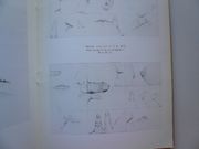 Amaral. Galerie Albert Loeb.  2 catalogues d'exposition. 26 avril au 19 mai 1973. Joint le carton d'invitation avec son illustration découpée. 19 nov. 14 déc. 1974 par AMARAL. Texte de José Pierre. Maquette de François Di Dio.  - Image 3