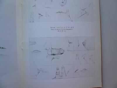 Amaral. Galerie Albert Loeb. 2 catalogues d'exposition. 26 avril au 19 mai 1973. Joint le carton d'invitation avec son illustration découpée. 19 nov. 14 déc. 1974