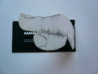 Amaral. Galerie Albert Loeb. 2 catalogues d'exposition. 26 avril au 19 mai 1973. Joint le carton d'invitation avec son illustration découpée. 19 nov. 14 déc. 1974