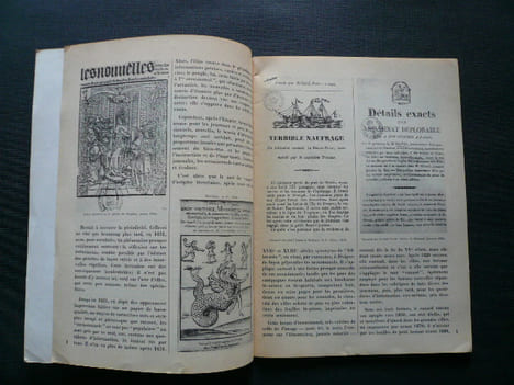 Physiologie du Canard . Jean-Pierre SEGUIN