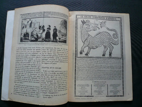 Physiologie du Canard . Jean-Pierre SEGUIN