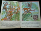 Le singe Pépé. Ginevra Pelizzari. Illustrations de Anna Franzoni.