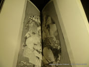 La position du voyageur par Fragments de texte de Gustave Flaubert et Michel Leiris. Photographies de François Rouan - Image 3