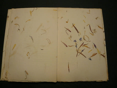 FLORA - Vingt quatre poèmes. . Ronsard - François Maynard - Baudelaire - Charles d'Orléans - Paul Verlaine - Théophile Gautier - Victor Hugo - ...