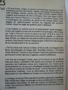 Les drogues, leur histoire, leurs effets. par Jean-Marie Pelt - Image 2