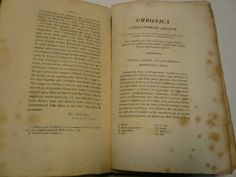 Analecta Divionensia - Documents inédits pour servir à l'histoire de France et particulièrement à celle de Bourgogne, tirés des archives et de la ...