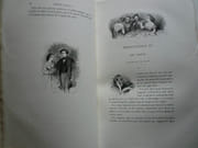 Physiologie du goût ou Méditations de gastronomie transcendante. Ouvrage théorique, historique et à l'ordre du jour dédié aux gastronomes parisiens par un professeur. Précédée d'une Notice par Alp. Karr. par Brillat-Savarin. Dessins de Bertall - Image 5