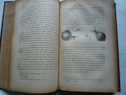 L'espèce et son serviteur (sexualité, moralité). par André Cresson - Image 5