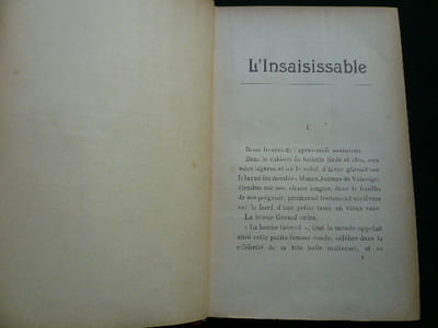 L'Insaisissable. Roman vécu.