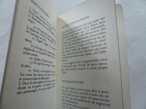 L'Amoureux VI. L'encyclopédie du Tarot. Piek L. Anema