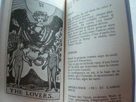 L'Amoureux VI. L'encyclopédie du Tarot. Piek L. Anema