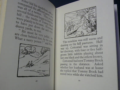 The tale of Mr. Tod