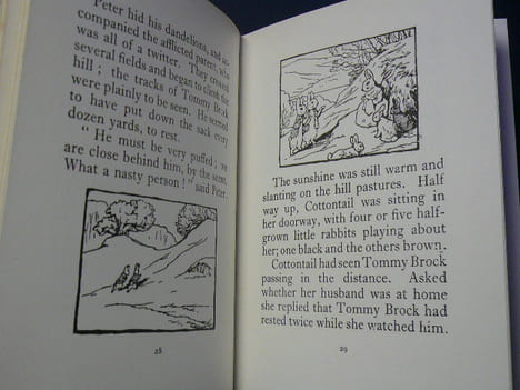 The tale of Mr. Tod. Beatrix Potter