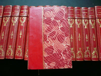 22 volumes des oeuvres d'Alphonse Daudet. Aux éditions Ernest Flammarion (éd. illustrée) : Premier Voyage Premier Mensonge, Souvenirs de mon enfance. La Petite Paroisse - Moeurs conjugales. La Belle-Nivernaise - Histoire d'un vieux bateau et de son équipage. Edition Ernats Flammarion, Collection Guillaume (iéd. illustrée) : Rose et Ninette. La Menteuse (A. Daudet & Léon Hennique). Les Rois en exil. Trente ans de Paris - A travers ma vie et mes livres. Souvenirs d'un Homme de lettres. Robert Helmont - Journal d'un solitaire. La Fédor - Pages de la vie. Sapho - Moeurs parisiennes. Tartarin de Tarsacon. Tartarin sur les Alpes - Nouveaux exploits du héros tarasconnais. Port-Tarascon - Dernières aventures de l'illustre Tartarin. Jack. Aux éditions Eugène Fasquelle, Bibliothèque Charpentier (éd. non illustrée) : Le Petit Chose. Fromont Jeune et Risler ainé - Moeurs parisiennes. Contes du lundi. Le Nabab - Moeurs parisennes - Avec une déclaration de l'auteur. Soutien de famille - Moeurs contemporaines. Numa Roumestan - Moeurs parisiennes. Lettres de mon Moulin.
