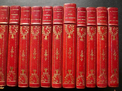 22 volumes des oeuvres d'Alphonse Daudet. Aux éditions Ernest Flammarion (éd. illustrée) : Premier Voyage Premier Mensonge, Souvenirs de mon enfance. La Petite Paroisse - Moeurs conjugales. La Belle-Nivernaise - Histoire d'un vieux bateau et de son équipage. Edition Ernats Flammarion, Collection Guillaume (iéd. illustrée) : Rose et Ninette. La Menteuse (A. Daudet & Léon Hennique). Les Rois en exil. Trente ans de Paris - A travers ma vie et mes livres. Souvenirs d'un Homme de lettres. Robert Helmont - Journal d'un solitaire. La Fédor - Pages de la vie. Sapho - Moeurs parisiennes. Tartarin de Tarsacon. Tartarin sur les Alpes - Nouveaux exploits du héros tarasconnais. Port-Tarascon - Dernières aventures de l'illustre Tartarin. Jack. Aux éditions Eugène Fasquelle, Bibliothèque Charpentier (éd. non illustrée) : Le Petit Chose. Fromont Jeune et Risler ainé - Moeurs parisiennes. Contes du lundi. Le Nabab - Moeurs parisennes - Avec une déclaration de l'auteur. Soutien de famille - Moeurs contemporaines. Numa Roumestan - Moeurs parisiennes. Lettres de mon Moulin.