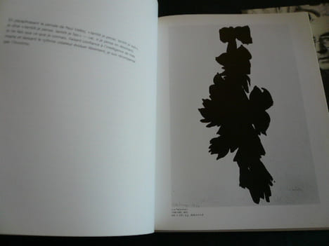 Etienne Hajdu Dessins. Ex. signé par l'artiste. . Etienne Hajdu. Texte de Pierre Descargues