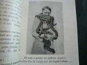 L'Inde jolie ! par John Helen - Image 5