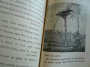 L'Inde jolie ! par John Helen - Image 7