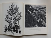 LA CHINE DANS UN MIROIR. ILLUSTRATIONS DE W. BISCHOF - H. CARTIER BRESSON - PIERRE CHADOURNE - DENISE COLOMB - E. DE MONTMOLLIN - PIERRE VERGER ET L AUTEUR. par Claude ROY - Image 2