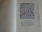 Atlas of leprosy par Kensuke Mitsuda - Image 3