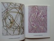 Gérard Fromanger  : Rizhomes, Pastels-Café. Catalogue d'exposition Galerie Claude Samuel Novembre-Décembre 1999 par Gérard FROMANGER. Textes de Alain Jouffroy et de Renaud Ego - Image 2