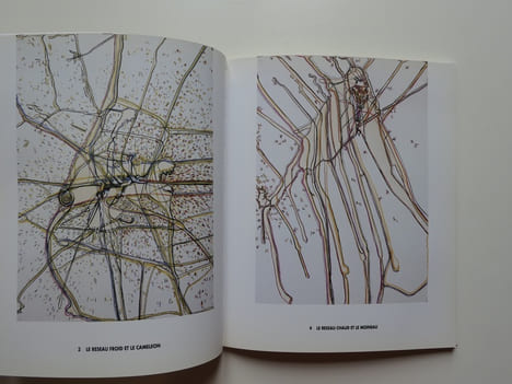Gérard Fromanger  : Rizhomes, Pastels-Café. Catalogue d'exposition Galerie Claude Samuel Novembre-Décembre 1999. Gérard FROMANGER. Textes de Alain ...