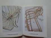 Gérard Fromanger  : Rizhomes, Pastels-Café. Catalogue d'exposition Galerie Claude Samuel Novembre-Décembre 1999 par Gérard FROMANGER. Textes de Alain Jouffroy et de Renaud Ego - Image 4