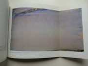 L'arrière-pays. Catalogue d'exposition du 27 juin au 30 août 1992. L'arrière-pays en terre cathare. BIssière. Tobey. Szenes. Jean Dubuffet. Vieira da Silva. Nicolas de Staël. Nallard. Soulages. Debré. Zao Wou-Ki. Aguayo. Gasiorowski. Jean Amado. par Dora Vallier. Jean-François Jaeger - Image 5