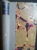 Princesse d'Italie. Jean Lorrain. Illustrations de M. Orazi.