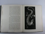 La Médecine Arabe. Aquatintes originales de MARIO AVATI par Roger ARNALDEZ  - Mario AVATI - Image 5