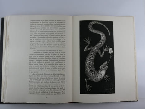 La Médecine Arabe. Aquatintes originales de MARIO AVATI. Roger ARNALDEZ - Mario AVATI
