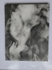 MY GHOST. Adam FUSS