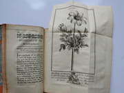 Histoire naturelle des végétaux, considérée relativement aux différens usages qu'on peut en tirer pour la médecine, & l'Economie domestique. Ouvrage utile à tous les Seigneurs de la Campagne, Curés, Peres de Famille & Cultivateurs. Tome Quatrième. par Pierre-Joseph Buchoz - Image 4
