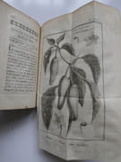 Histoire naturelle des végétaux, considérée relativement aux différens usages qu'on peut en tirer pour la médecine, & l'Economie domestique. Ouvrage utile à tous les Seigneurs de la Campagne, Curés, Peres de Famille & Cultivateurs. Tome Quatrième. par Pierre-Joseph Buchoz - Image 5