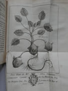 Histoire naturelle des végétaux, considérée relativement aux différens usages qu'on peut en tirer pour la médecine, & l'Economie domestique. Ouvrage utile à tous les Seigneurs de la Campagne, Curés, Peres de Famille & Cultivateurs. Tome Quatrième. par Pierre-Joseph Buchoz - Image 8