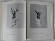 (CHASSE) Pol'ovnicke trofeje slovenska (Demi-trophées slovènes). par V. Richter a kolekti : Dr. M. Balis, Ing. R. Krasul'a, J. Sprocha - Image 5